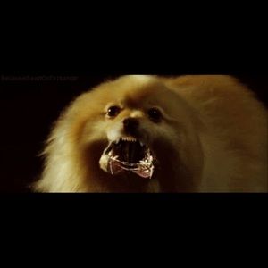 Meet your Posher, Juan